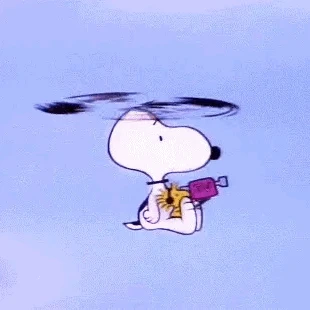 움짤 2
