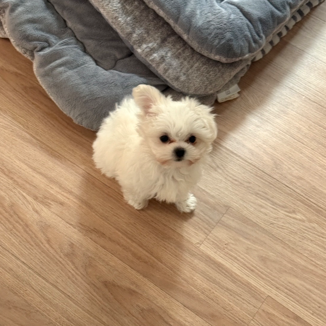 사진 2