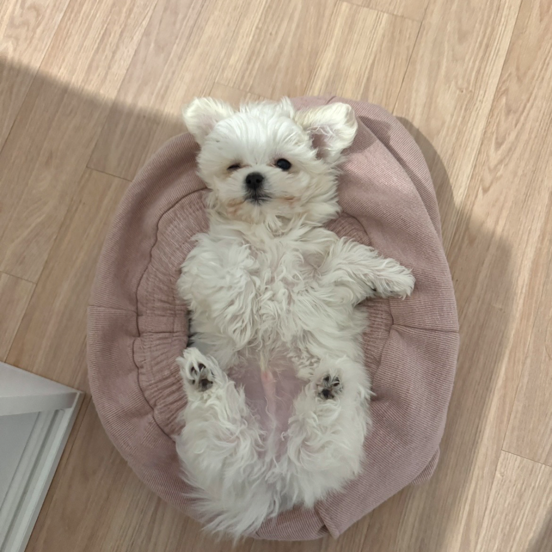 사진 1