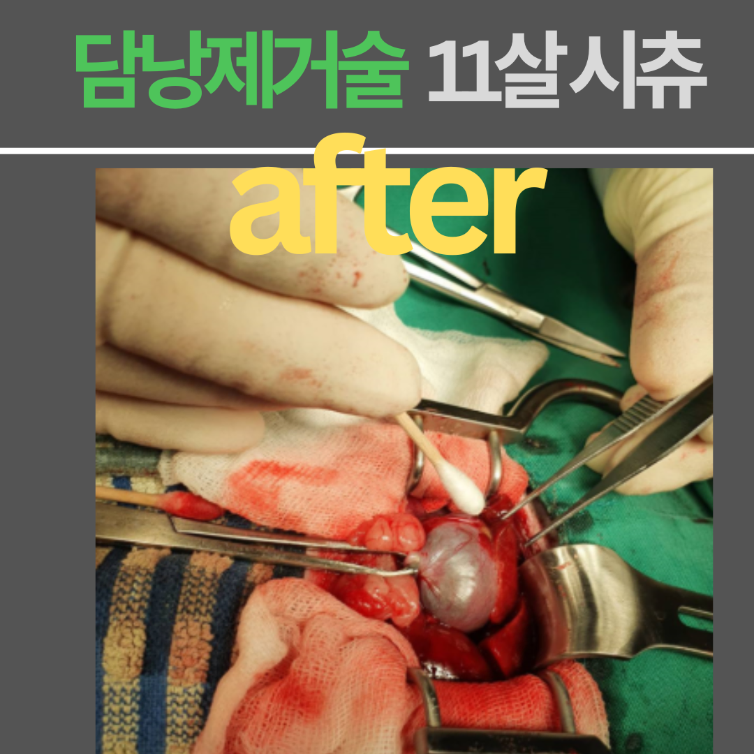 사진 6