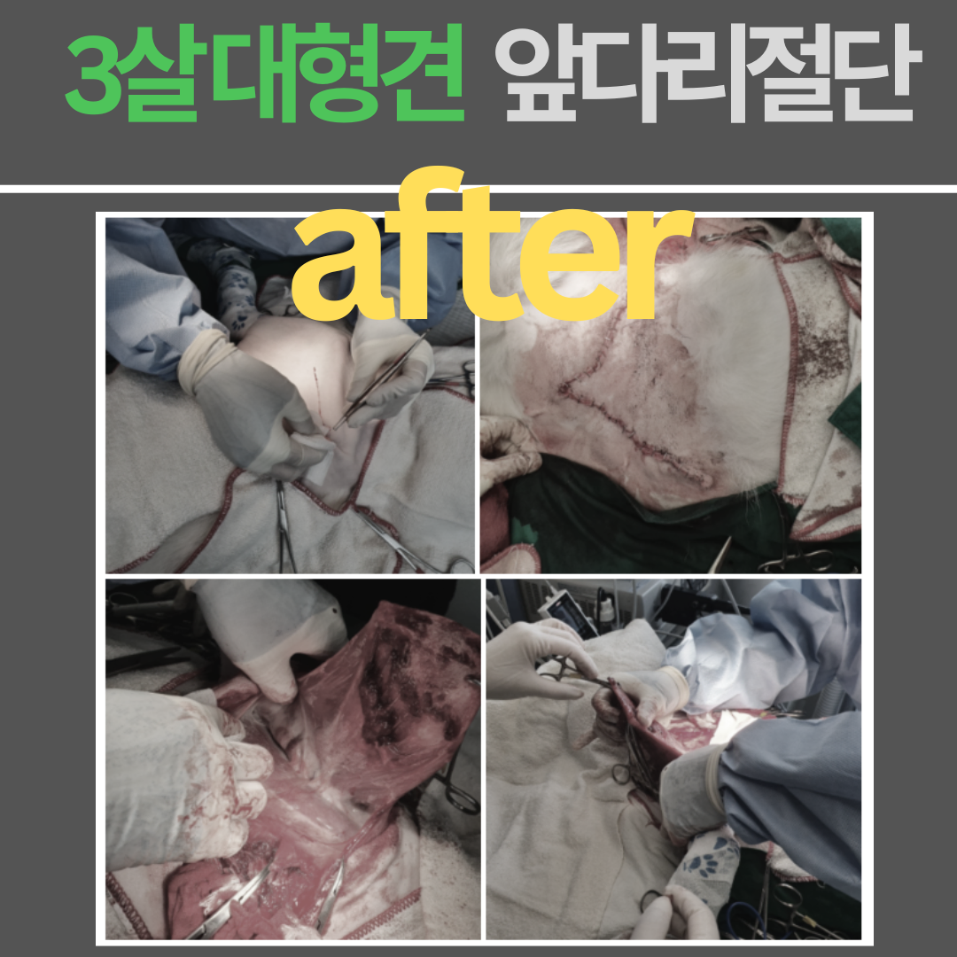 사진 5